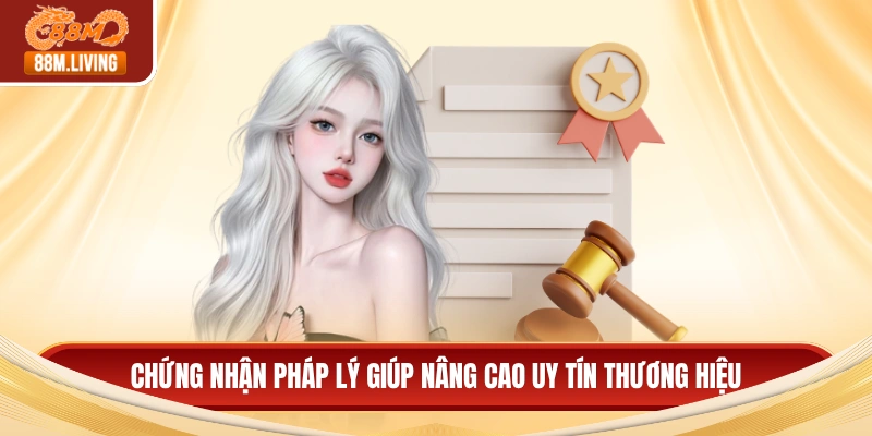 Giấy Phép Hoạt Động 3 Chứng nhận pháp lý giúp nâng cao uy tín thương hiệu